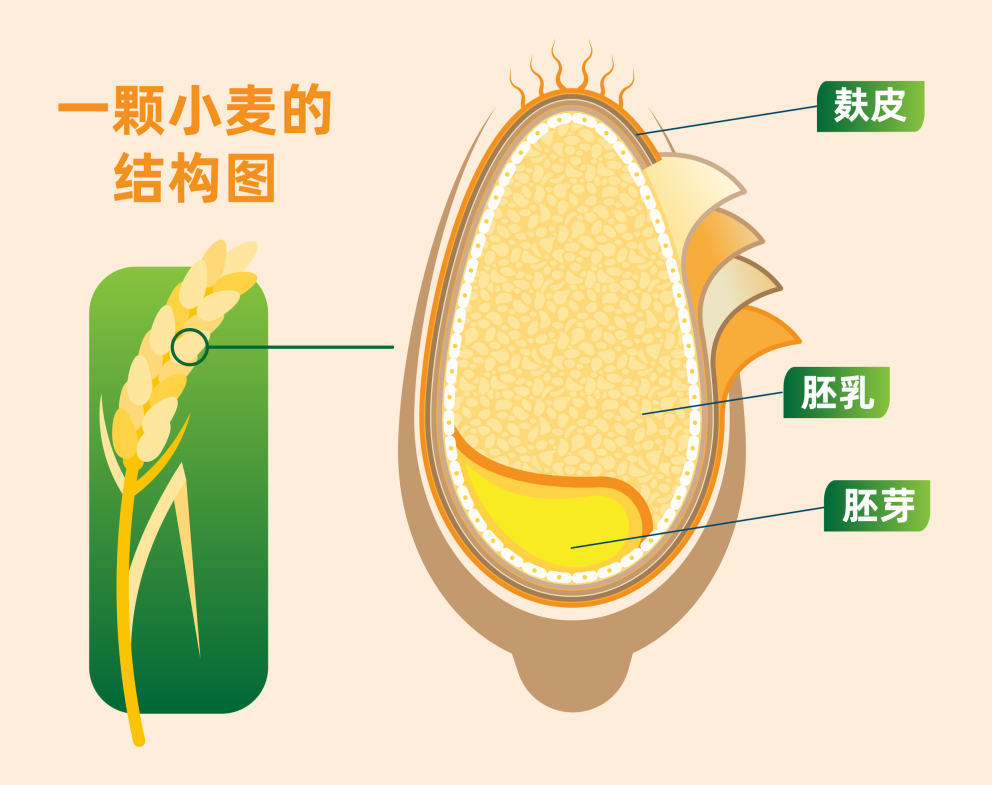 �������ǲ���(�й���)�ٷ���վ